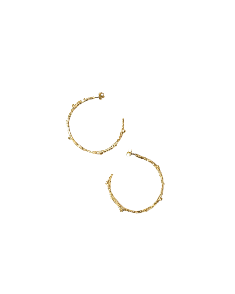 Aleta Hoops in Gold