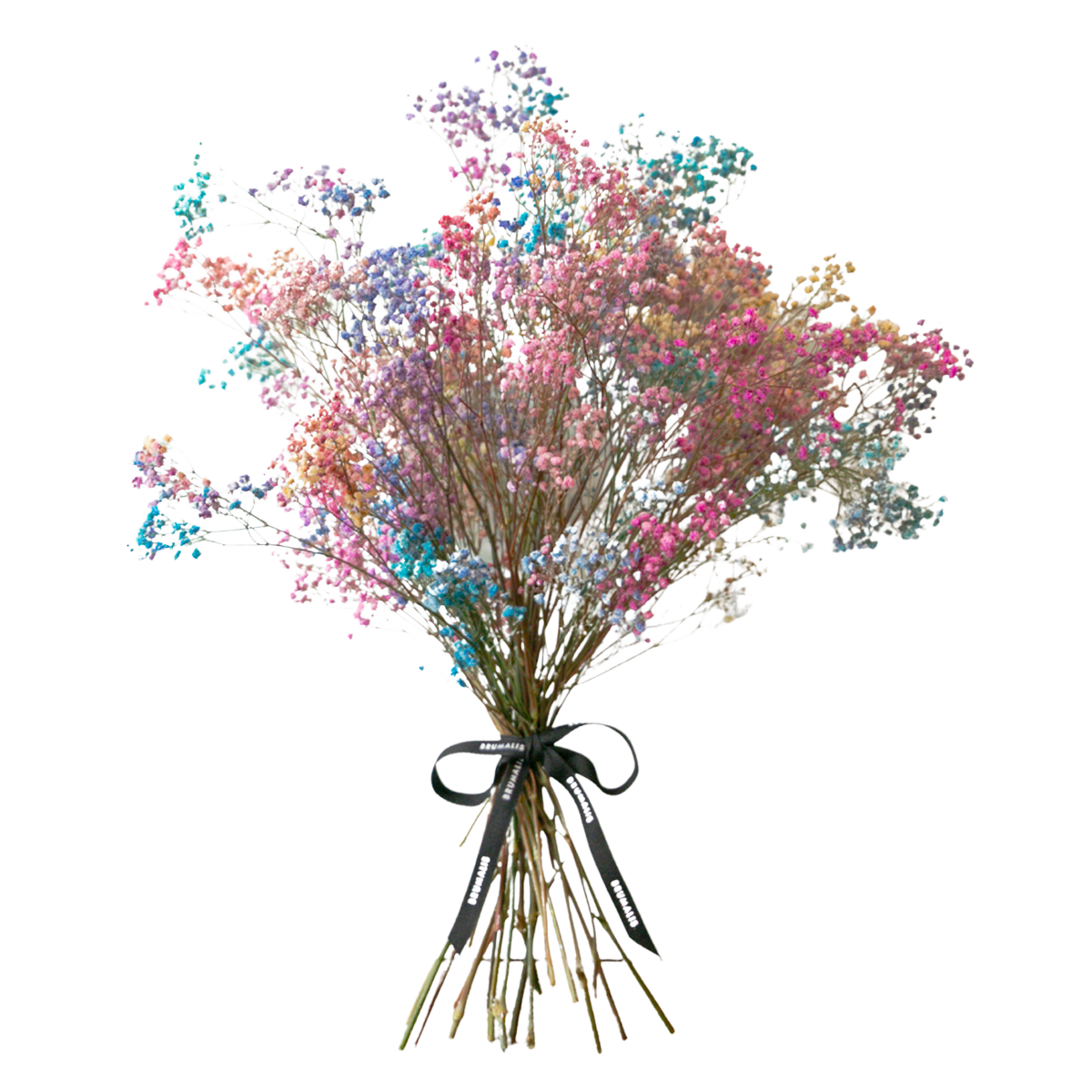 Ramo de flores preservadas fucsia - brumalis