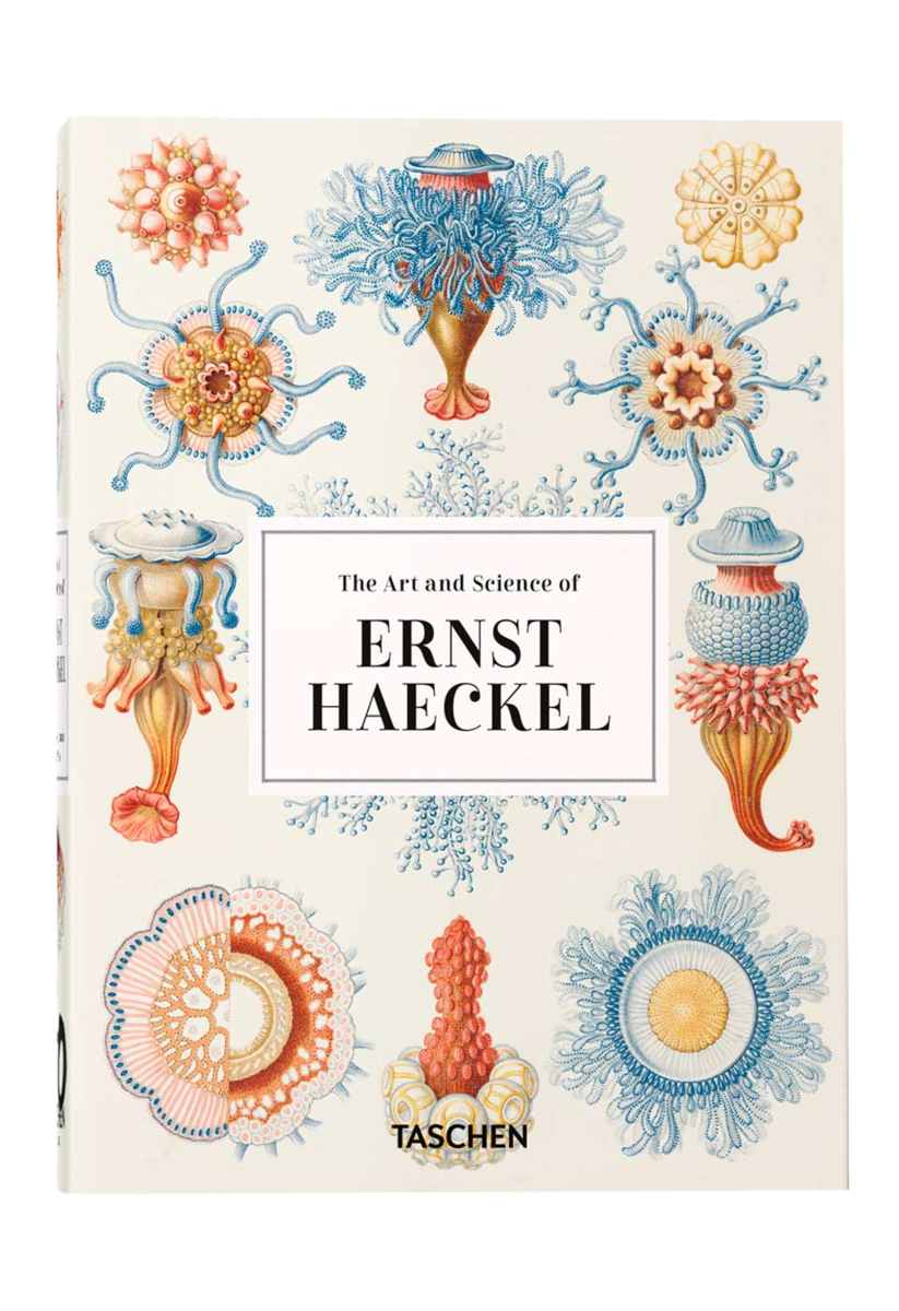 The Art and Science of Ernst Haeckel. 40