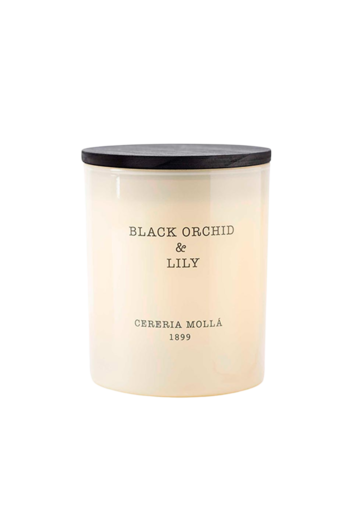 Vela 230g Black Orchid , Beige, One size