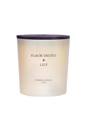 Vela XL Black Orchid & , Beige, One size