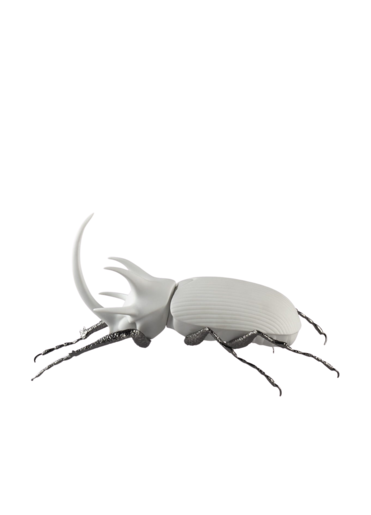 Rhinoceros beetle (matte white)