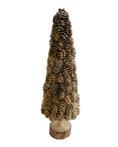 Larix cone tree wooden base