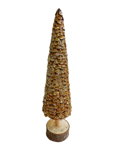 Fir cone scale tree wooden base